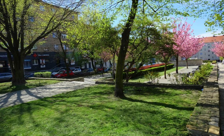 mieszkanie na wynajem - Bytom, Centrum